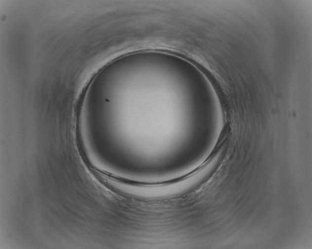 X0000072531508200607141149