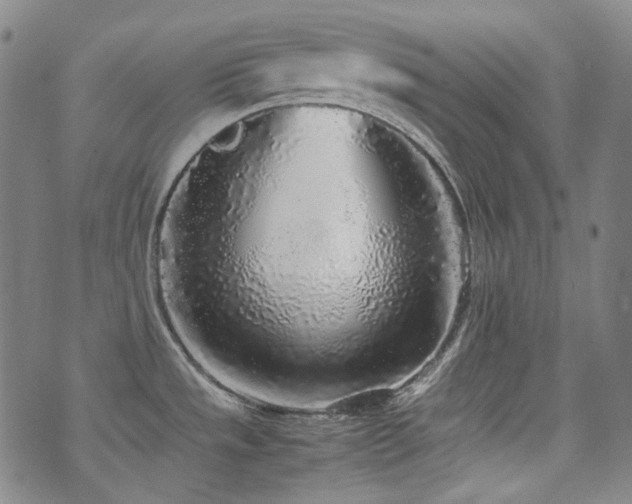 X0000072531533200607141150