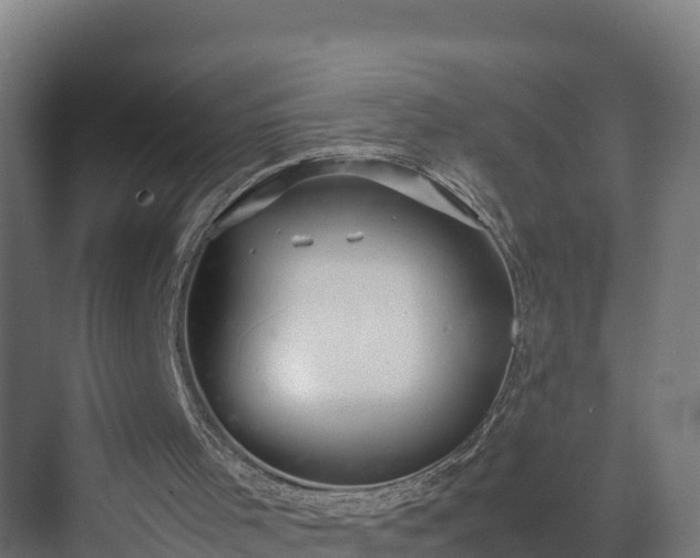 X0000072530001200607211501