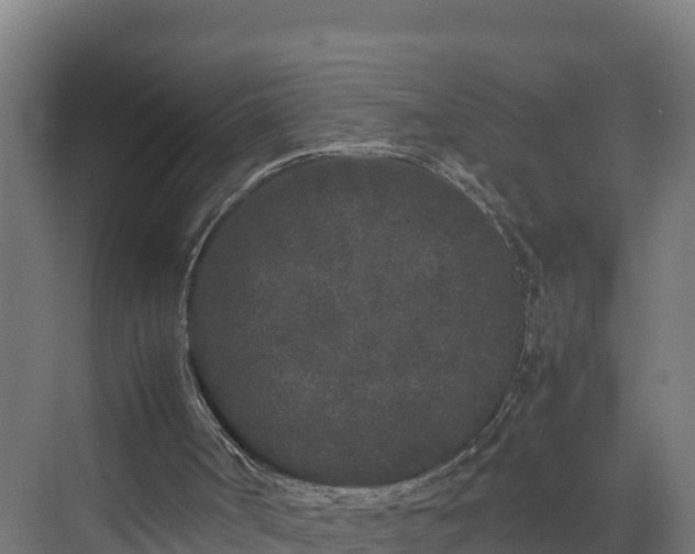 X0000072530002200607211501