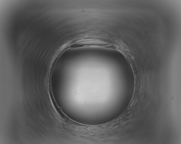 X0000072530003200607211501