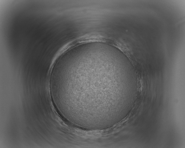 X0000072530004200607211501