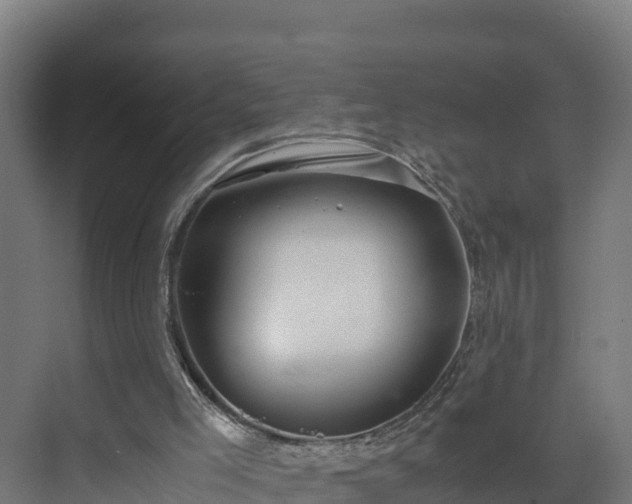 X0000072530005200607211501