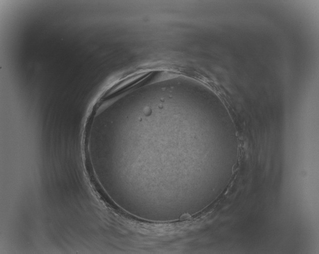 X0000072530006200607211501