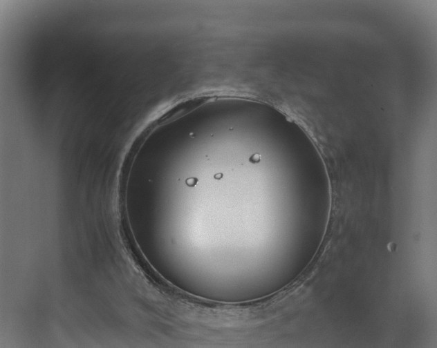 X0000072530008200607211501