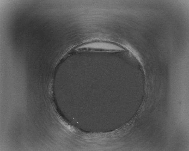 X0000072530009200607211501