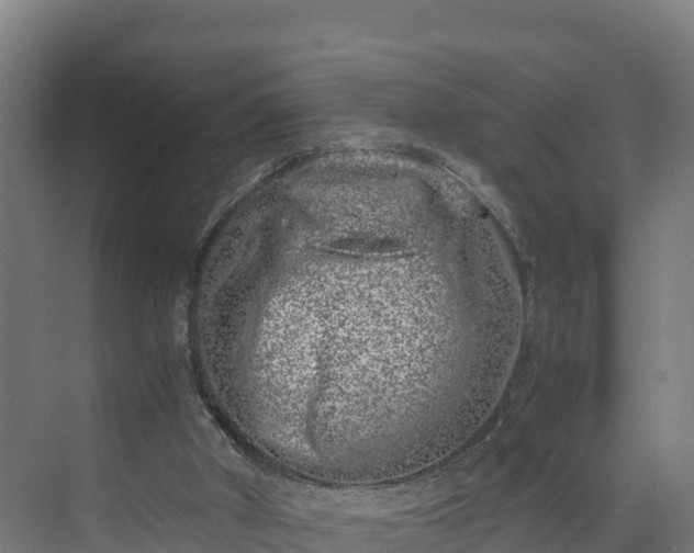 X0000072530010200607211501