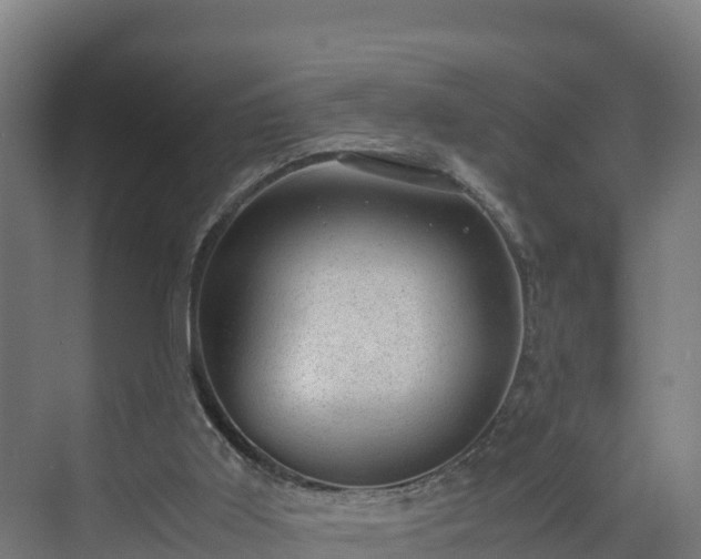 X0000072530011200607211501