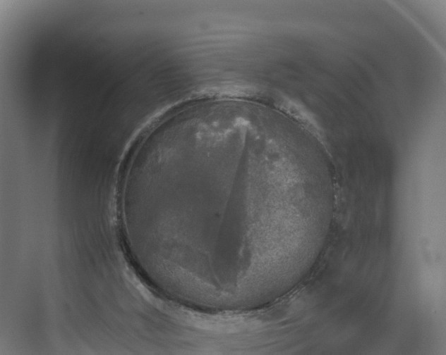 X0000072530012200607211501