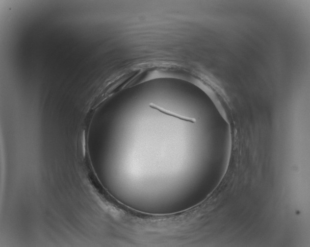 X0000072530013200607211501