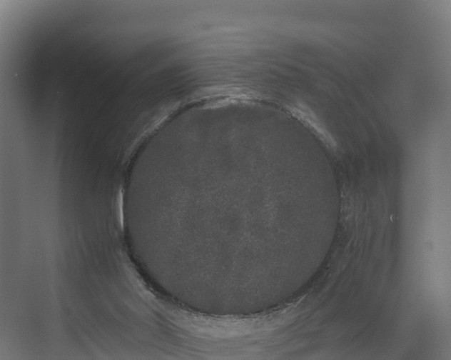 X0000072530014200607211501