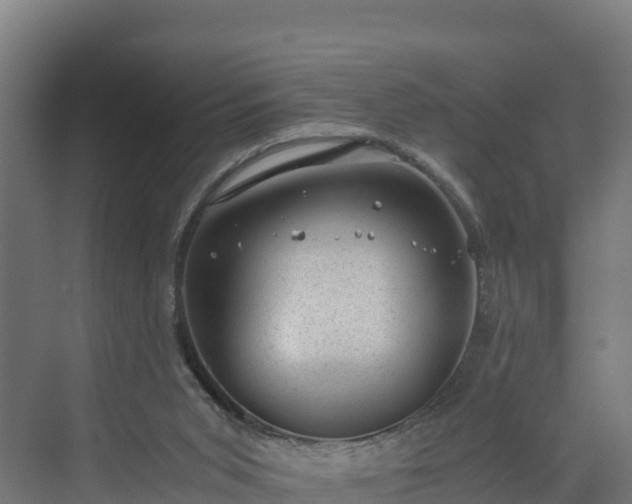 X0000072530015200607211501