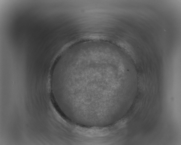 X0000072530016200607211501