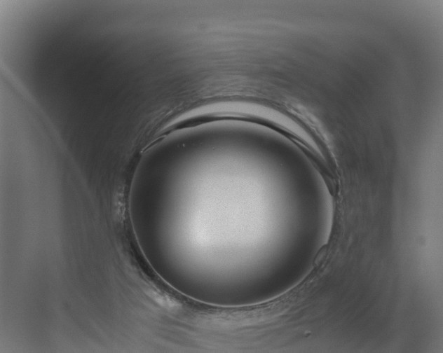 X0000072530017200607211501