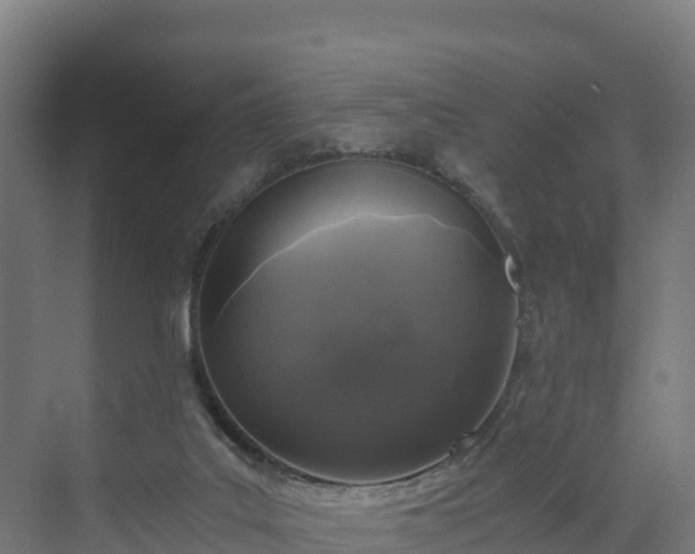 X0000072530019200607211501