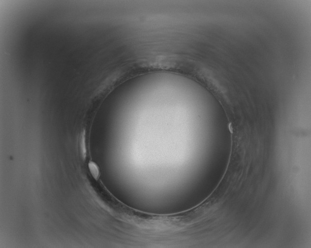 X0000072530020200607211501