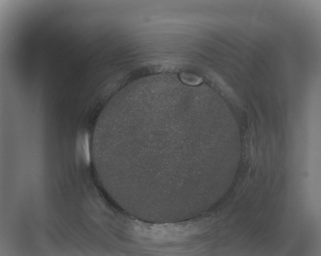 X0000072530022200607211501