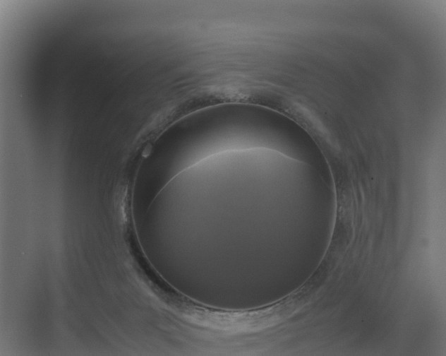 X0000072530023200607211501