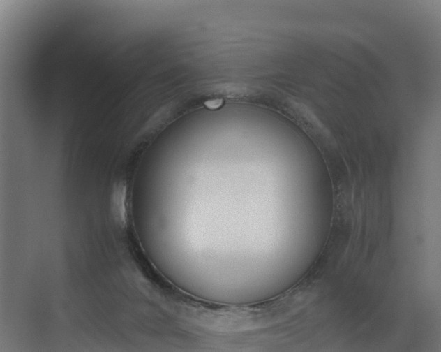 X0000072530024200607211501