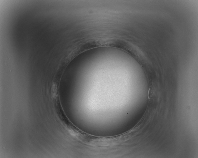 X0000072530025200607211501