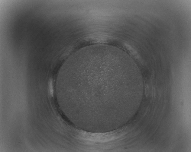 X0000072530026200607211501