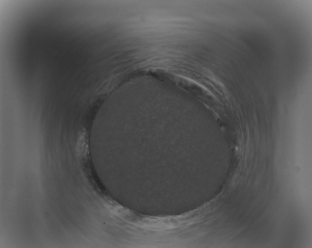 X0000072530029200607211501