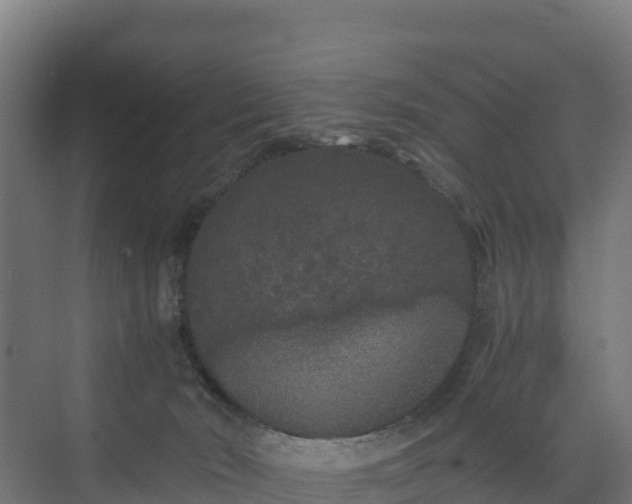 X0000072530030200607211501