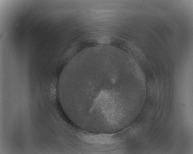 X0000072530032200607211501