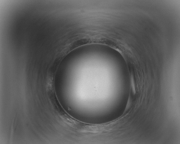 X0000072530033200607211501