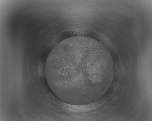 X0000072530034200607211501