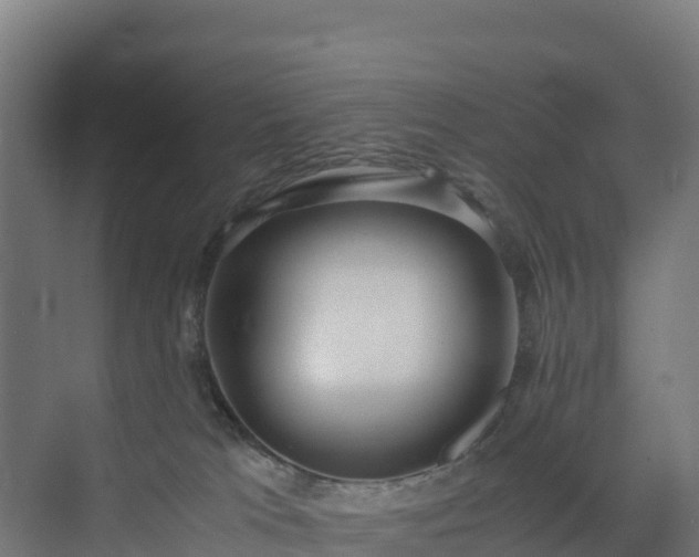 X0000072530037200607211501