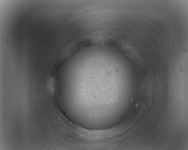 X0000072530038200607211501