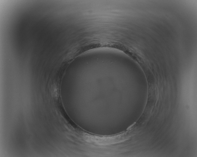 X0000072530039200607211501