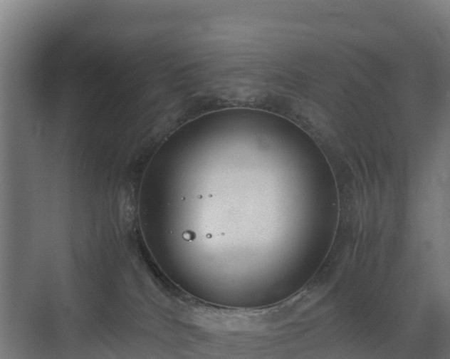 X0000072530040200607211501