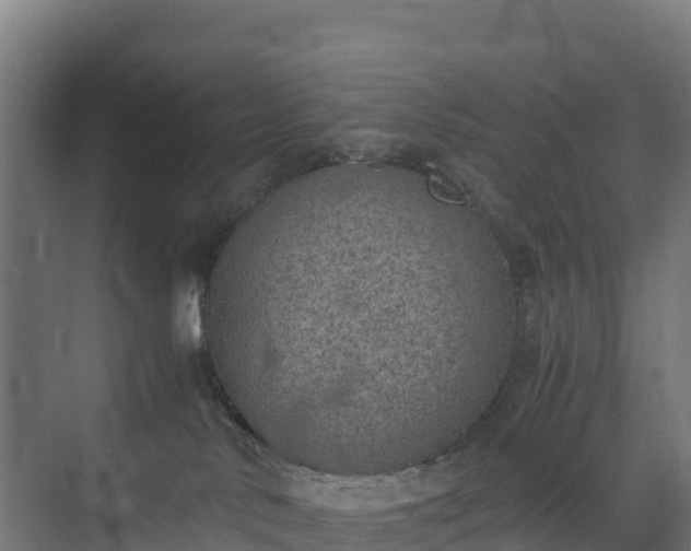 X0000072530042200607211501