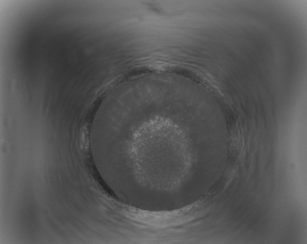 X0000072530043200607211501