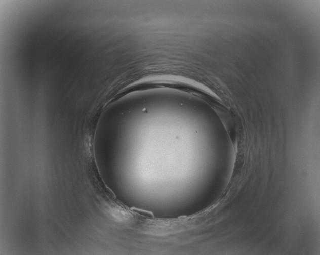 X0000072530045200607211501