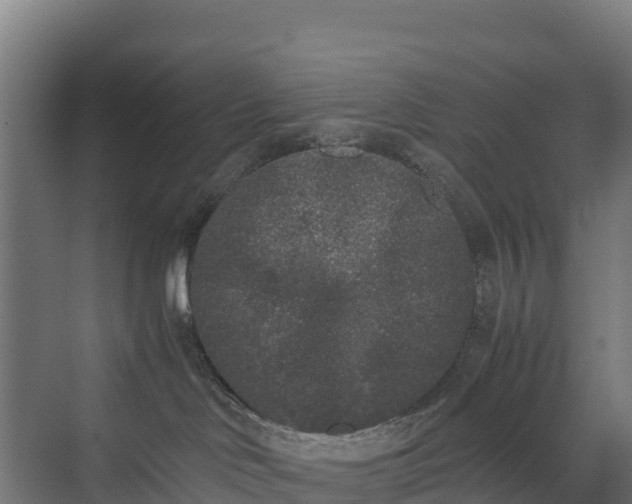 X0000072530046200607211501