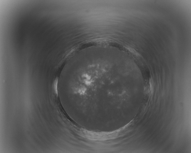 X0000072530047200607211501