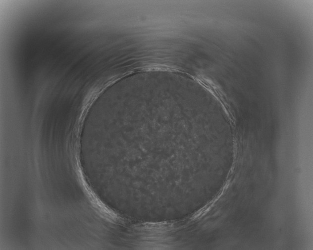 X0000072530049200607211500