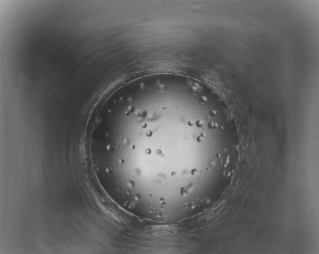 X0000072530050200607211500