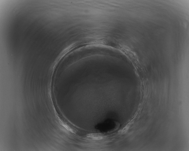 X0000072530051200607211500