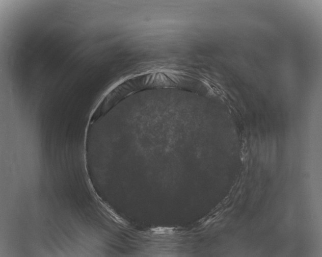 X0000072530052200607211500