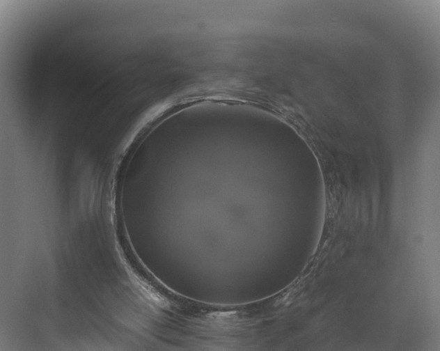 X0000072530054200607211500