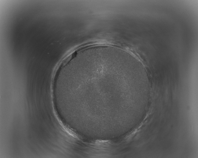 X0000072530055200607211500