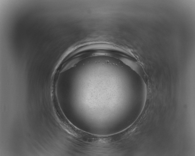 X0000072530056200607211500