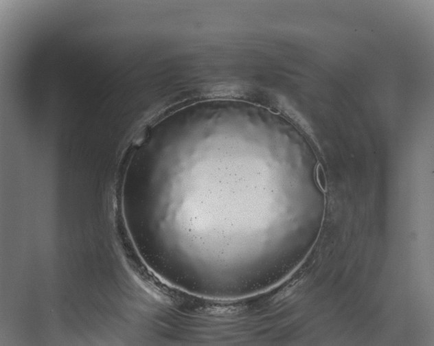 X0000072530059200607211500