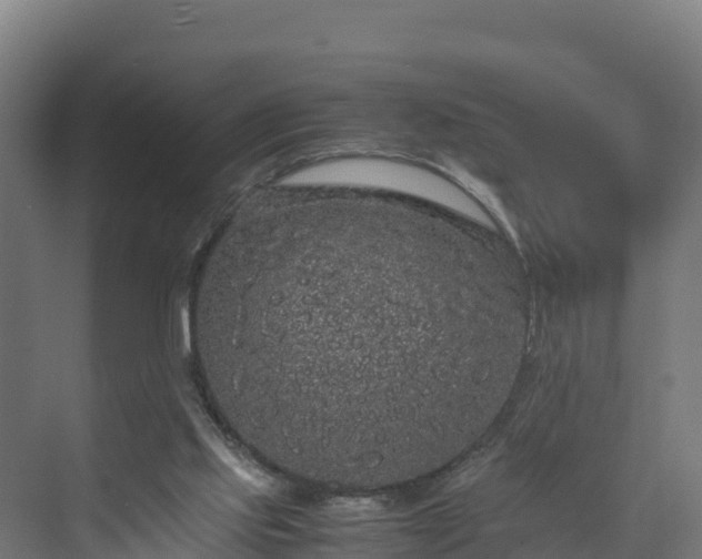 X0000072530061200607211500