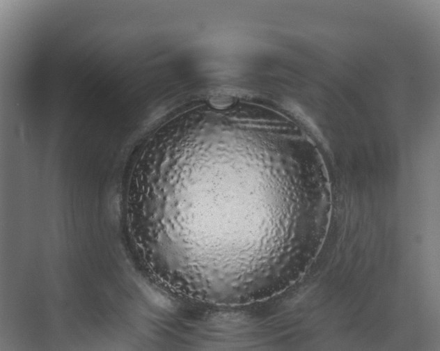 X0000072530063200607211500