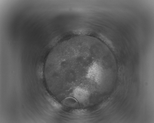 X0000072530065200607211500